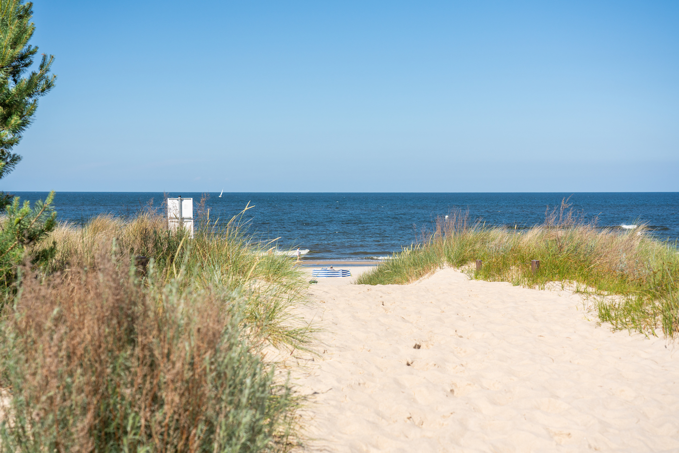 🌼 Maifeiertag – Frühling, Sonne, Genuss
